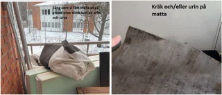 Naken man döms efter bisarra upptäckten 