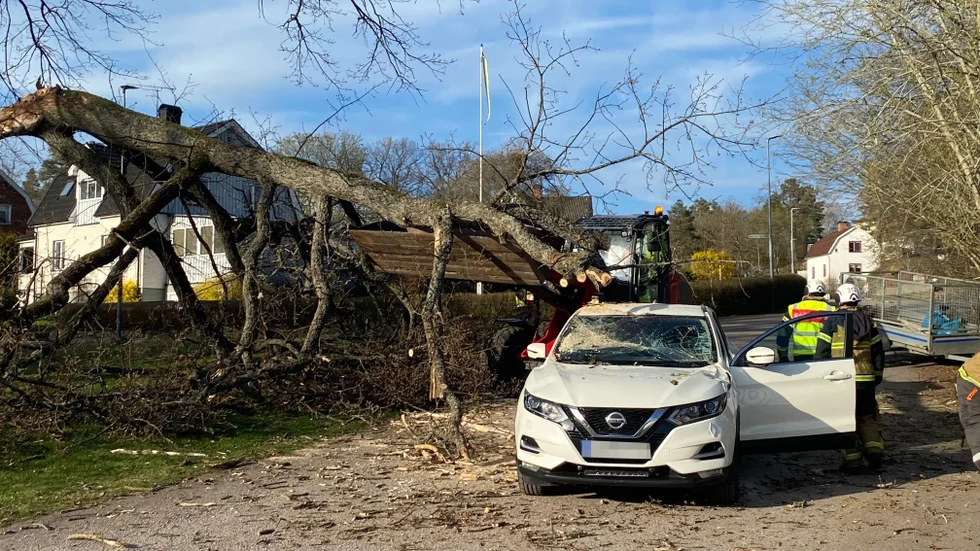 En stor gren har fallit på en bil i Borensberg.