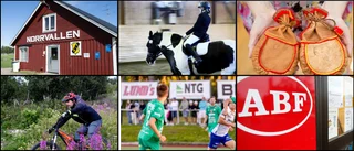 Miljonregn över föreningar i länet – så fördelades bidragen