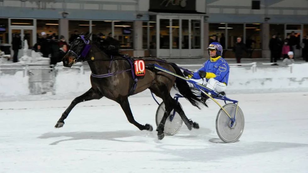 Dubbelseger. Roger Nilsson vann med både Åsakjappen och Nano Broline (bild).