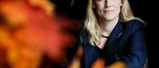 Varför Pensionärsrådet inte fungerar