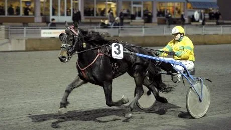 imponerar. Blijerven, med Thomas Lundsten, vann V5-2 och därmed har kallblodet redan imponerat mer än många trodde innan Kalix-amatörens köp.Foto: Jens Bäckström