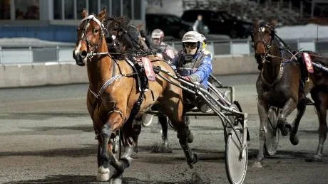 stark start. Handsome Fayline, V65-1, gjorde ingen besviken då hästen körde till sig en tidig ledning och ryckte sedan till seger.Foto: Jens Bäckström