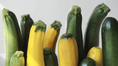 SUVERÄN SKÖRDEMAT. Zucchini är lätt att laga och lätt att älska, något svårare att uttala och stava till.