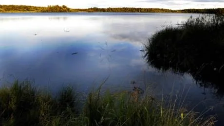 LUKTAR ILLA. Vid två tillfällen den senaste tiden har avloppsstationen på Örnäset i Luleå stannat utan att larmet har gått.