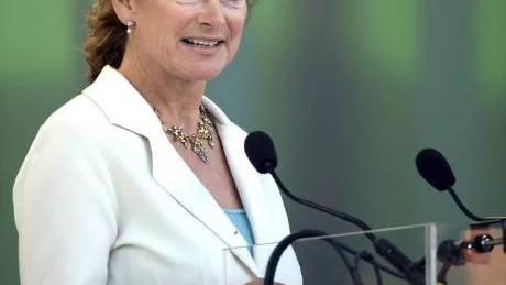 SOM EN SOSSE. En socialdemokratisk kulturminister kunde inte ha uttryckt sig bättre än Lena Adelsohn Liljeroth i press-stödsfrågan.