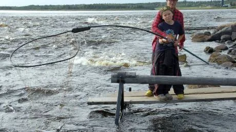 SIK I HÅVEN. Alex Takalo, tio år, har fiskelyckan med sig och fångar en vacker sik i håven. Håvexperten Eva Olsson hjälper till.