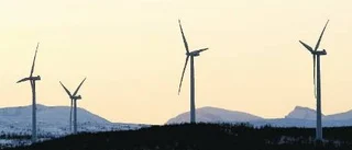 "Riv upp beslut om vindkraft"