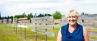 Luleå Konstförening laddar inför konst i det gröna