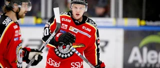 Ny kedja för Luleå Hockey: "Härlig energi"
