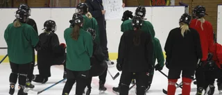 "Bönderna från landet" tog sig till playoff – ser sig själva som underdogs: "Slår från underläge"