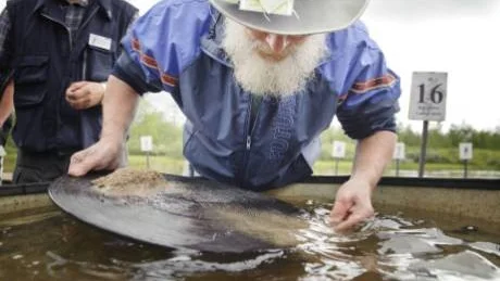 DIAMANTER. Antti Seppälä vaskar inte bara fram guldkorn. Här vaskade han fram en milliteterstor diamant på strax under minuten. Foto: Mattias Forsberg