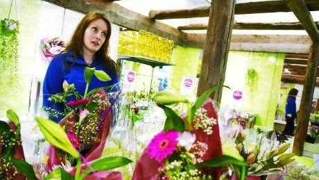 SNITTBLOMMOR PROBLEM. Anneli Rova på Blomsterlandet i Luleå berättar att det börjar bli svårt att få tag på rosor och en del andra snittblommor. "De måste flygas för att hålla sig fräscha. Transporten får absolut inte ta för lång tid eftersom de inte får något vatten då. Bara en dags försening kan vara förödande", säger hon.