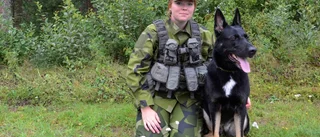 Sveriges bästa patrullhundsekipage tävlade i Boden
