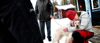 Tårfyllt farväl till Billy