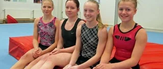 Aspirantplatser till Älvsbyn