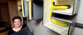 Bondska blogg sprider glädje