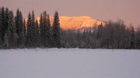 Morgonljuset och de första solstrålarna ger ett varmt skimmer över Fällforsberget vid Piteälven norr om Älvsbyn.