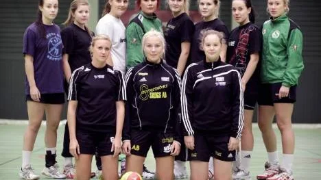 Förra säsongen vann Lillpite division 2 i handboll. Bara tre spelare finns kvar i elitlaget i nya samarbetet mellan Lillpite och Strömnäs. Det är Sofia Lindqvist, Viktoria Hedqvist och Agnes Källman. Bakom dessa lagets övriga spelare: Malin Jonsson, Matilda Wikström, Emma Forsberg, Isabell Johansson, Sara Burman, Lisa Furtenbach, Matilda Johansson och Sofia Simonsson.