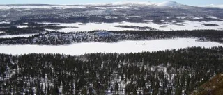 Täckning ger trygghet