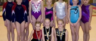 Älvsbyns gymnaster tog alla pallplatser