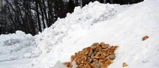 Kastat bröd förargar grannar