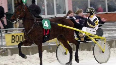 Petter Lundberg tog hem tre lopp vid måndagens V5-omgång i Boden. (Arkivbild).
