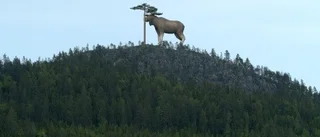 Stoorn väntar på bättre tider