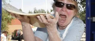 En byafest för alla sinnen