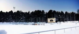 Skogsvallen håller tätt