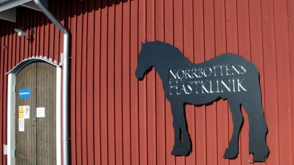 Står tomt. Hästkliniken i Boden har inte haft hyresgäst sedan maj förra året. Hästkliniken i norr och Evidensia har lämnat in anbud för att få hyra lokalerna. I nästa vecka avgörs det vem det blir.