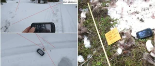 Åtalad samebyordförande vill ha tillbaka sina skjutvapen