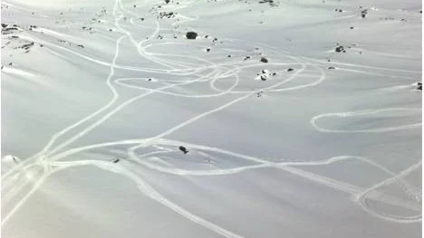 Spåren talar sitt tydliga språk. Järven jagades, inringades och kördes på gång på gång innan den slutligen dog. Enligt åklagare och polis finns inga andra skoterspår än de som spårats till de båda åtalade, vilka dock nekar till alltihop.