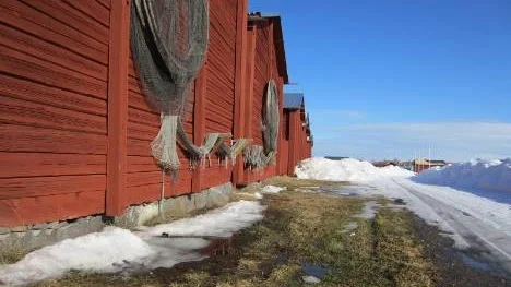 I mitten av mars skymtar lite grönt gräs vid Båtmuseet Västra kajen.