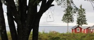 Dagens väderbild