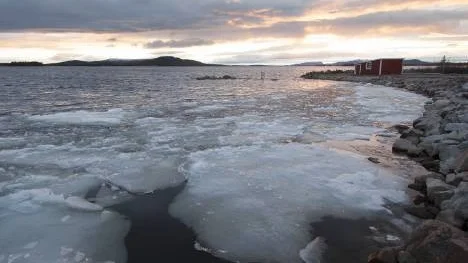 Hornavans strand där de sista isresterna krossas mot stranden i den starka vinden.