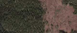 Lantbruksfastighet i Edsbruk får ny ägare