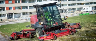 Nu drar gräsklippningen igång – men kommunen kapar inte överallt