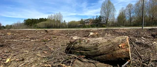 Mysterium bakom nattligt oljud på Hertsön: "Inte mycket sömn"