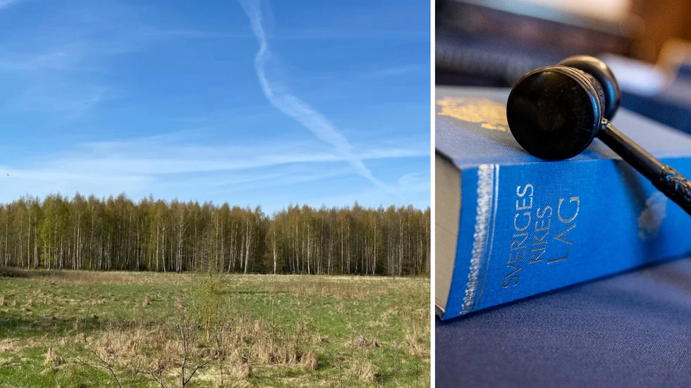 Det hade varit värdefullt om domstolen även gett besked om alla andra invändningar som framförts, skriver insändarskribenten. 