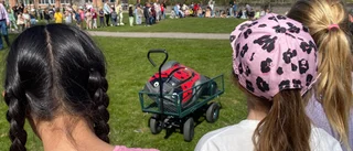 Robert blir "Prickis" – ny nyckelpiga i parken