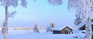 Läsarbild: En fin kall dag