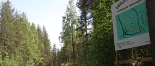 Förbättringsarbete genomförs på Grisberget efter Piteförslag 