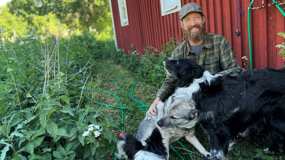 Johan tycker det är viktigt att hundägare känner att de kan lita på sin hund och kunna ha den lös när ägaren vill. Då krävs det en bra kommunikation. 