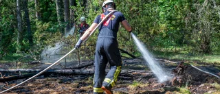 Rådiga grannar bromsade brandutveckling på Arnö