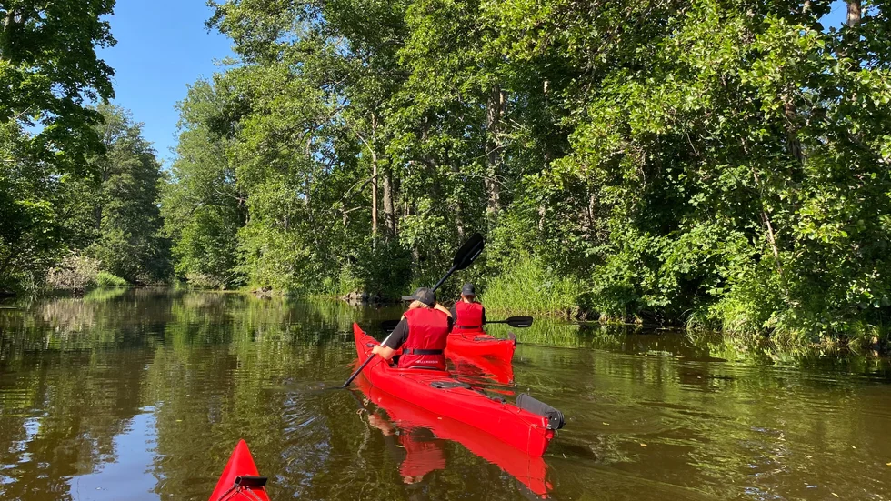 Kajakpaddling erbjuds i Tingstäde. Denna bild är dock inte därifrån.