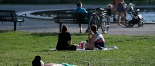 Regeringen uppmanar till beredskap inför värmebölja