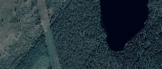 Nya ägarna ärver gården på Nynäs 31 i Kalix Landsbygd