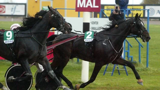 Lutfi Kolgjini med franske Ladon du Goutier är först i mål i bronsdivisionen på Mantorp i lördags.  Det var annars Åke Svanstedt som dominerade med sina fyra segrar.     Bild: TORD OLSSON
