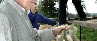 Carl G bygger drömhuset med hjälp av timmer